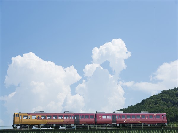 sightseeing train