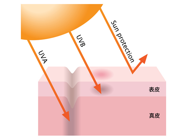 UVAとUVBのイメージ図