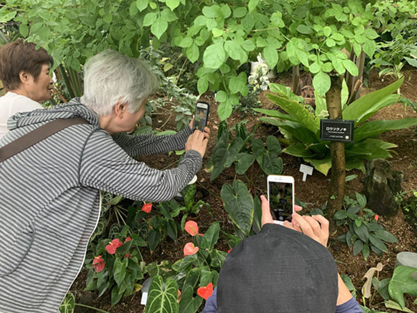 ハルメクスマホ講座