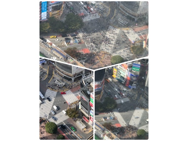 渋谷スクランブルスクエアの展望台