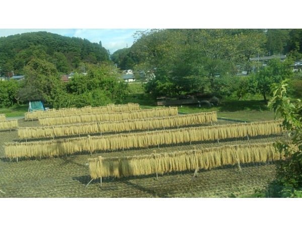 出発前に日本の原風景をしっかり焼き付けて