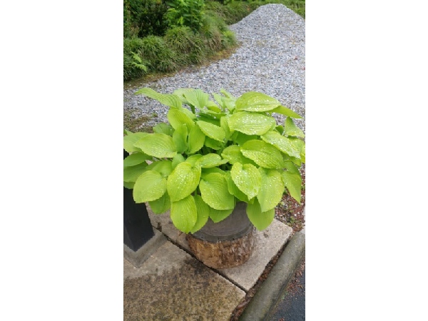 いま生きているということ