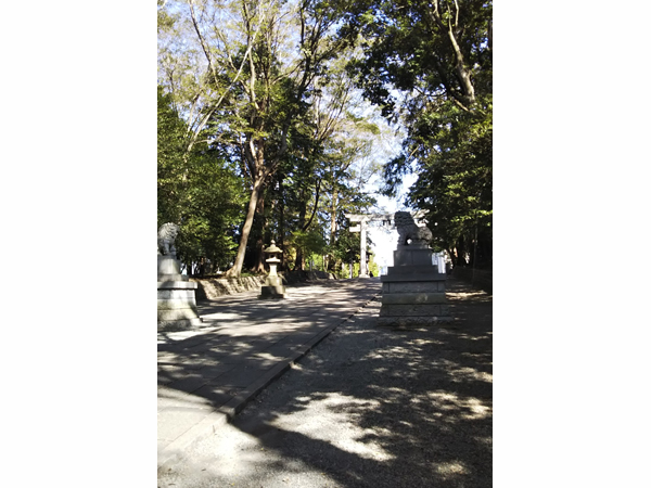59歳から始まった1人暮らし‐お墓について
