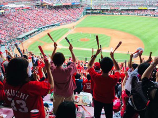 広島カープを応援する熱烈なファンの様子
