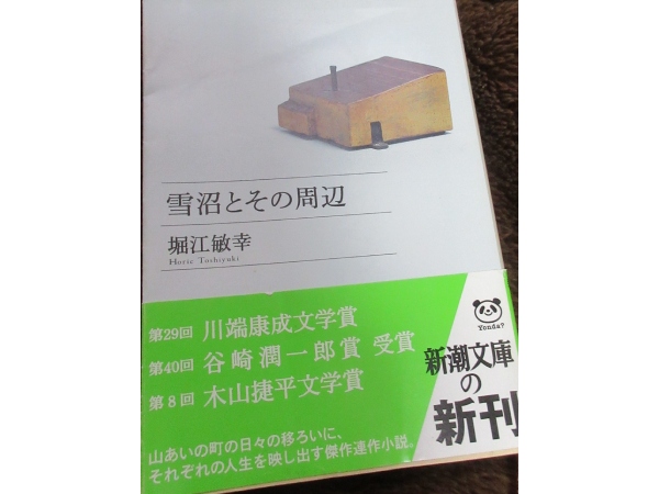 「雪沼とその周辺」堀江敏幸