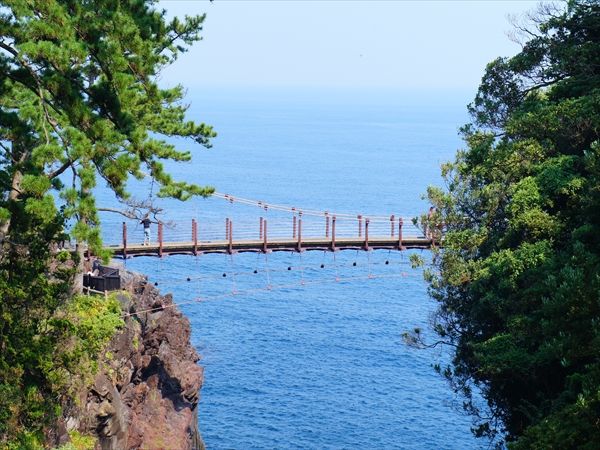 shizuoka_otokukixtupu